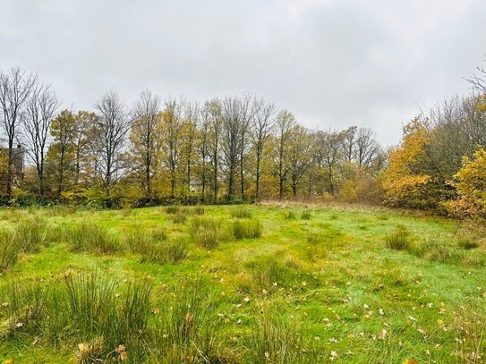 Großes Grundstück in Roetgen zu verkaufen