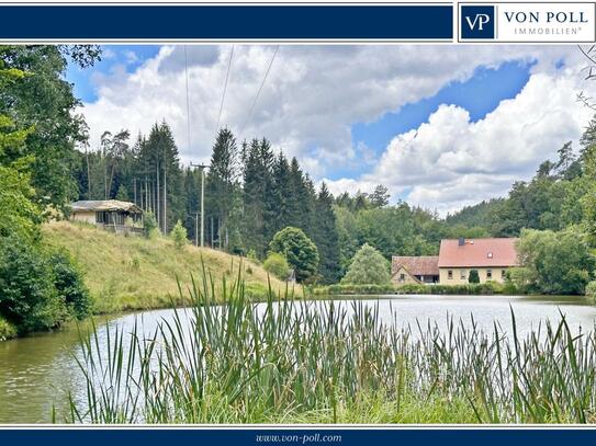 Historische Mühle mit Wald und eigenem Teich