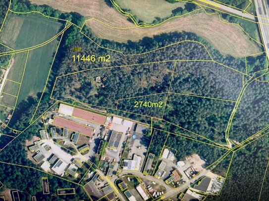 Schöner Wald in Roth-Pfaffenhofen ganz nah am Industriegebiet