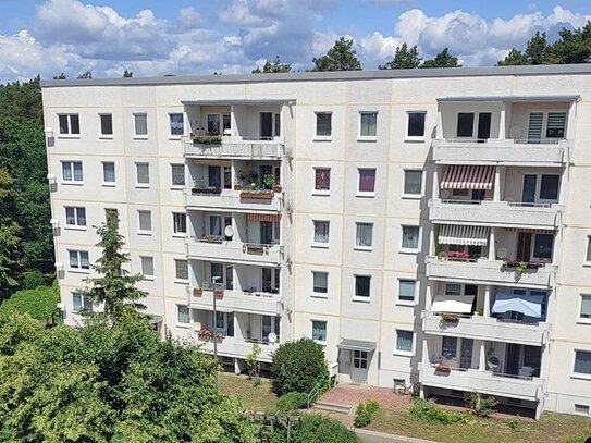 Große 2-Raumwohnung mit Wohnküche und Balkon