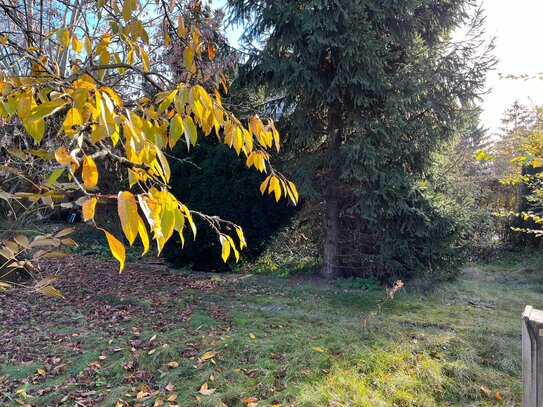 Teilgrundstück für Ihre DHH direkt am Kaulsdorfer See