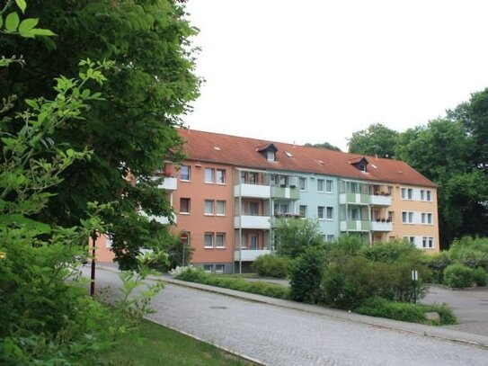 Klein aber Fein - kleine 1 - Raum Wohnung im Dachgeschoß - mit direktem Parkblick