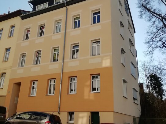 schöne 3-Raum Wohnung mit Kamin zu vermieten - frei ab 01.02.2025