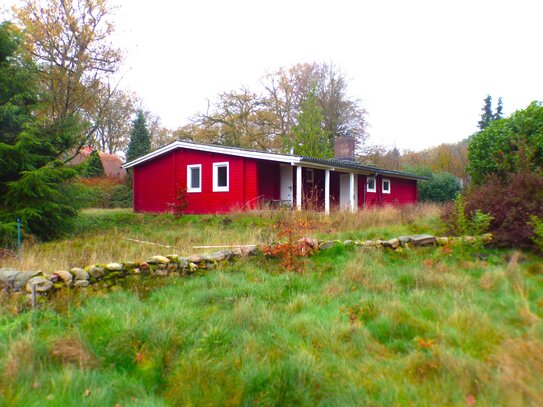 Lüneburger Heide - grosses sonniges Grundstück, für die große Familie oder als Bauprojekt