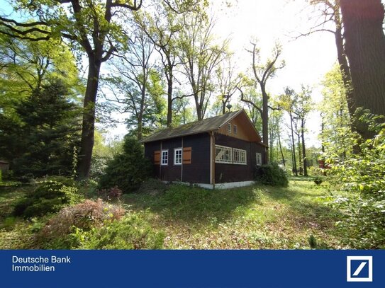 Einzigartiges Grundstück mit hohem Baumbestand mitten in der grünen Siedlung Waldsteinberg