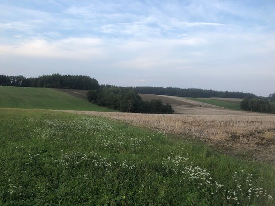 Landwirtschaftlicher Ackergrund