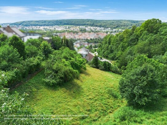 Exklusives Baugrundstück in Kelheim - Ihr Traum vom Eigenheim