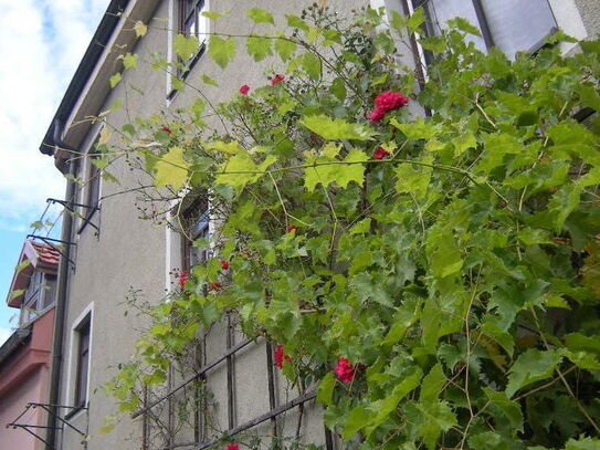 Altes Untertürkheimer Weingärtnerhaus mit Terrasse