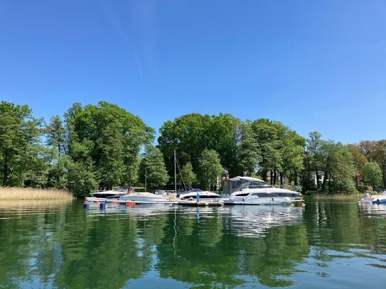 Im Sommer am Scharmützelsee!