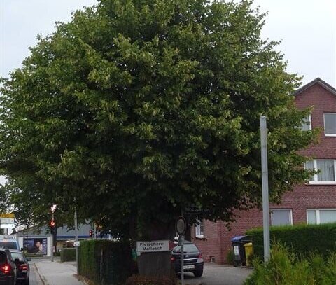 2-Zimmerwohnung mit Gartenanteil zu vermieten!