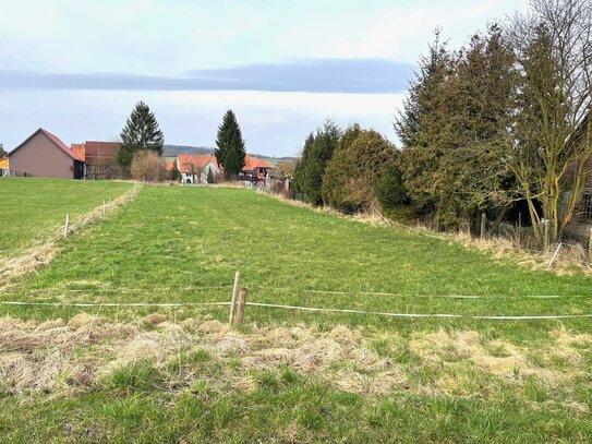 Baugrundstück in Dassel OT Lüthorst Elbigsweg