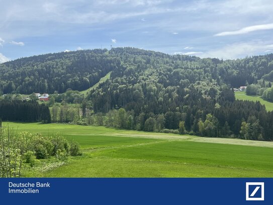 **Sie suchen einen ruhigen Bauplatz?** Grundstück mit Fernblick in Heindlschlag/Jandelsbrunn