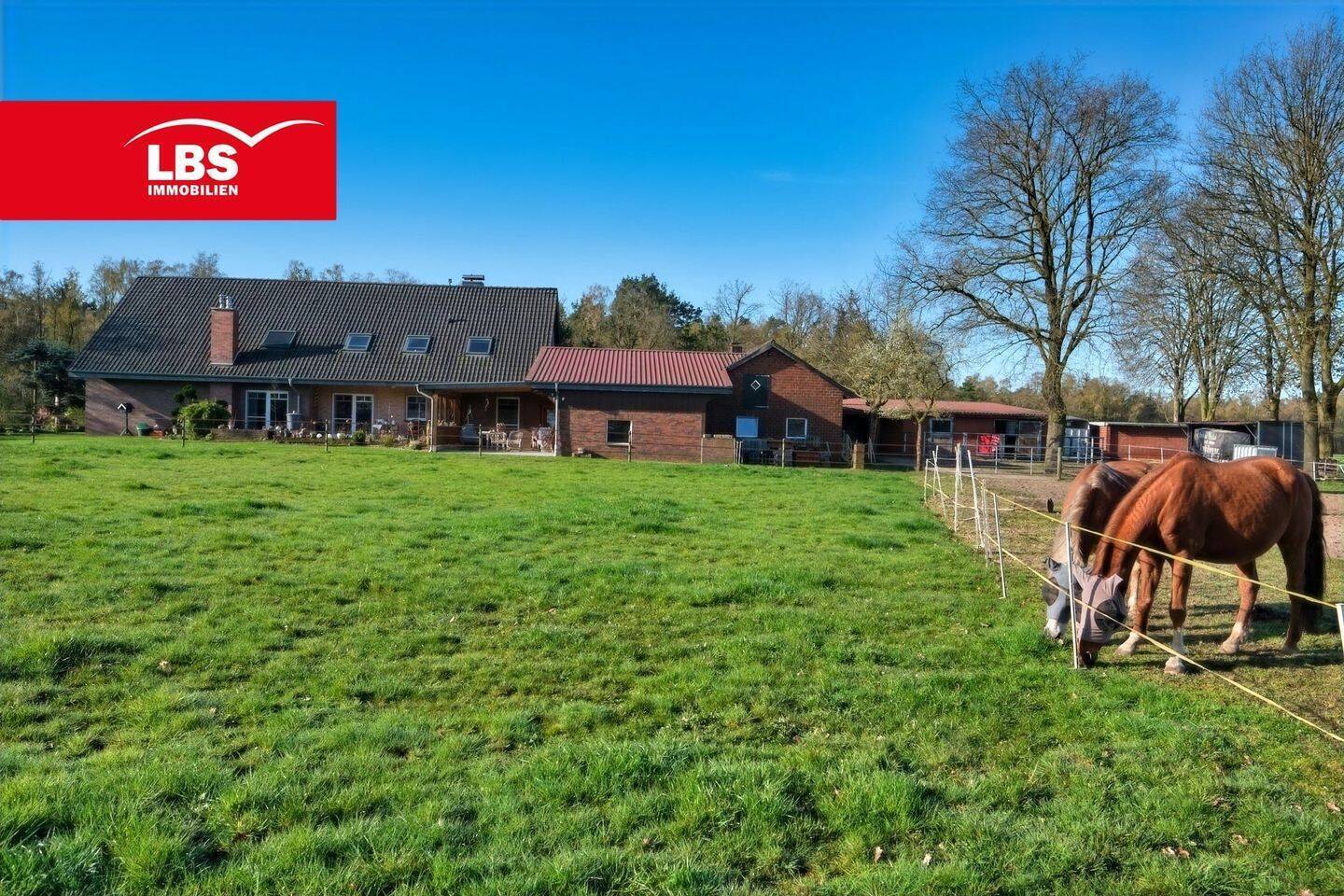 Immobilie in Merzen - Genießen Sie den Traum vom Wohnen in idyllischer Natur mit Ihren Pferden - Bild 0