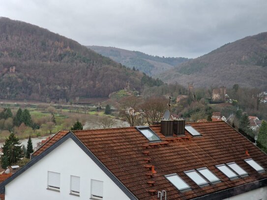 Geschmackvolle, gepflegte 3-Zimmer-Dachgeschosswohnung in Neckarsteinach