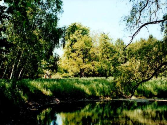 Einmalige Gelegenheit - 2.320m2 Bauland und 4.948m2 Gartenland mit Wohngebäude in Weisendorf - OT Oberlindach