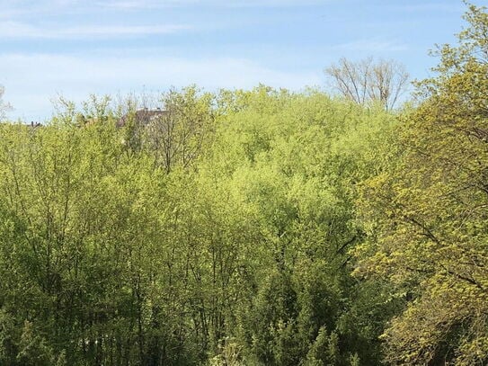 Exklusives Penthouse mit atemberaubender Aussicht und luxuriöser Ausstattung