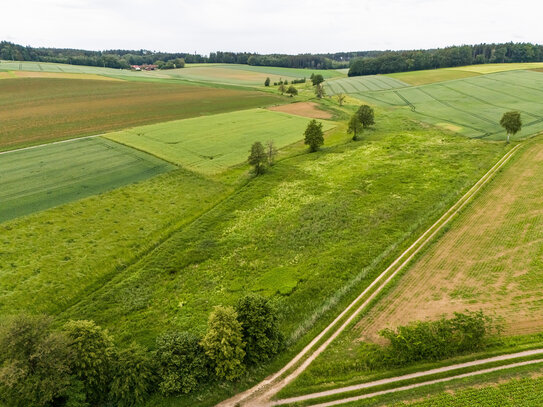 Wildacker mit ca. 2,1 ha in Schierling, bei Regensburg