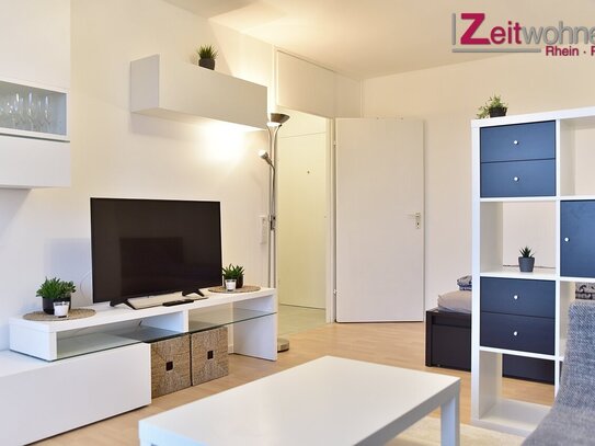 Modernes Balkon Apartment in Köln Rodenkirchen - Video Online