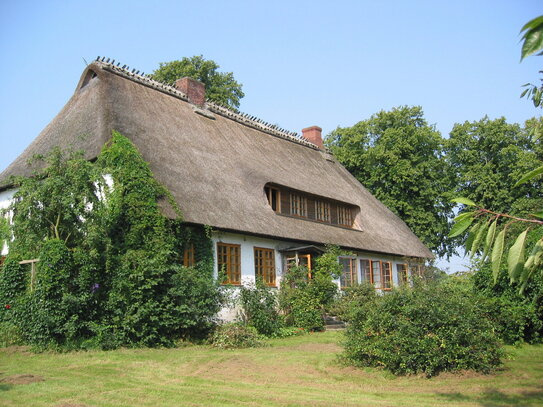 Galerie-Wohnung unter Reet in idyllischer, ruhiger Alleinlage