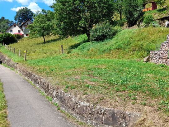 wunderschönes Baugrundstück in idyllischer Lage gegenüber der Schutter