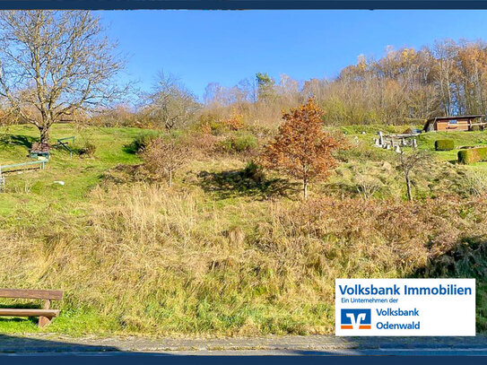 Grundstück für Bauherren mit viel Platzbedarf in Flörsbach!