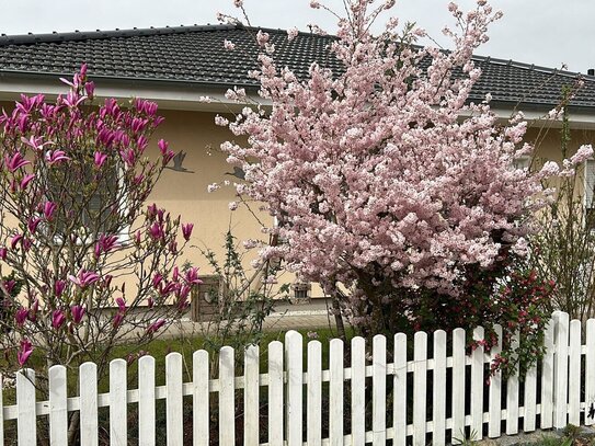 Traumhafter Bungalow in Zarrendorf bei Stralsund zu verkaufen