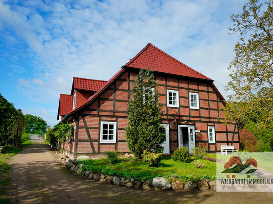 *** Neuer Preis!***- Großes Landhaus in der Elbtalaue, direkt am Elbdeich - Top-Zustand