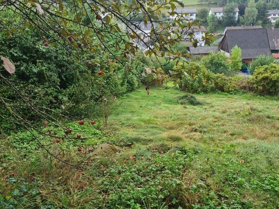 BAUGRUNDSTÜCK AN DER SONNEN-HANGLAGE MIT FERNSICHT IN SCHOPFHEIM-EICHEN ZUM KAUF