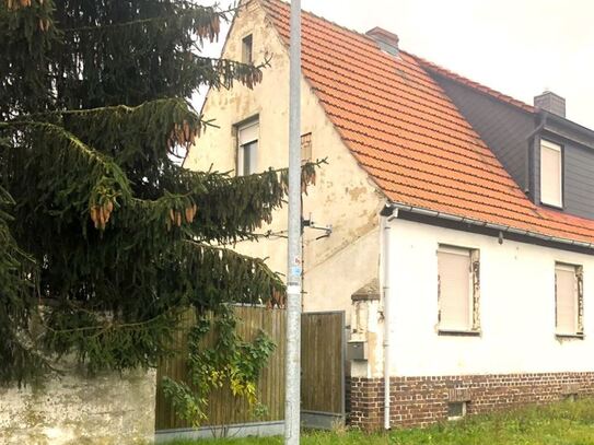 *Handwerker und Individualisten aufgepasst* Doppelhaushälfte bei Lutherstadt-Eisleben