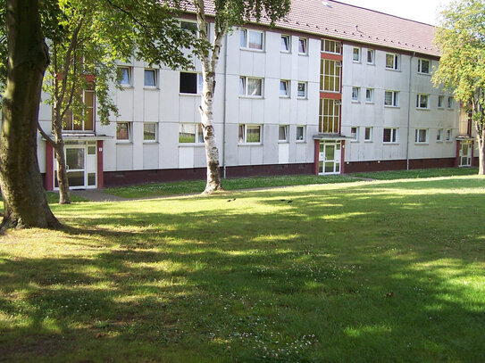 3 Zimmer in Neustadt