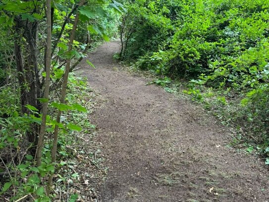 bauträgerfreies Baugrundstück in Brieselang -Toplage