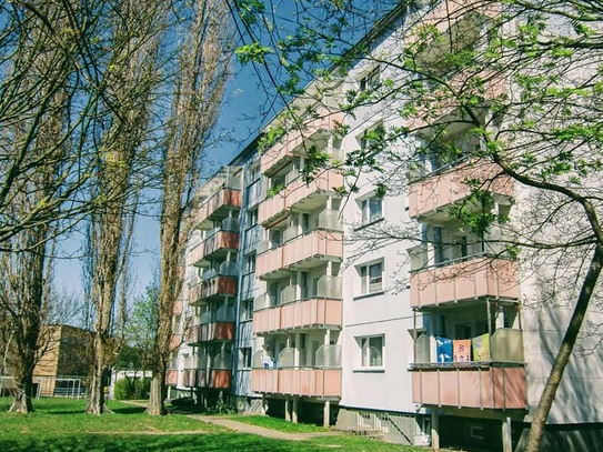 3-Raum-Wohnung im Stadtgebiet Igelpfuhl.