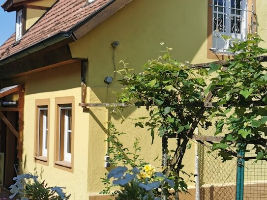 Kleines saniertes Bauernhaus mit Garten