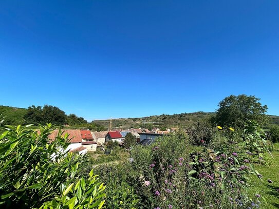 Rarität in typischer Kaiserstuhllage - Ruhe und Aussicht