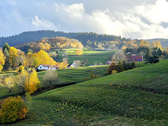 Großzügiges Zwei-/Dreifamilienhaus mit großer Doppelgarage in äußerst bevorzugter Panoramawohlage