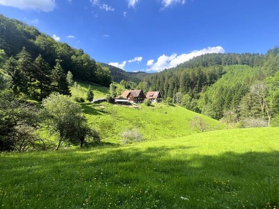 Attraktives Hofgut mit 2 großen Wohn- und Ökonomiegebäuden in traumhafter, sonniger Panorama Alleinlage