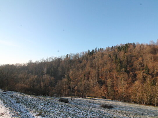 Obernzell: 35.684 m² landwirtschaftliche Nutzfläche - Wiese - ideal auch als Ausgleichsfläche