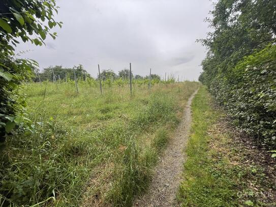 * Genießen Sie den Frühling 2025 in Ihrem "Neuen Zuhause" in bester Wohnlage *