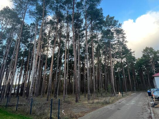 Ihr Bauplatz in Borkwalde mit Bebauungsplan und voll erschlossen