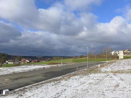 Genießen Sie die ländliche Idylle in Ohrenbach bei Auerbach