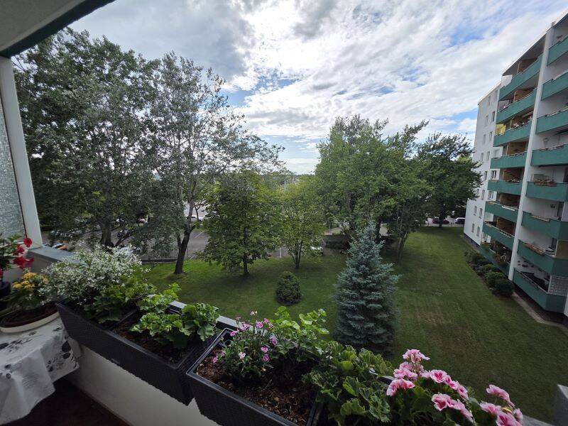 Schöne helle, gut geschnittene 2-Zimmer in Marienfelde