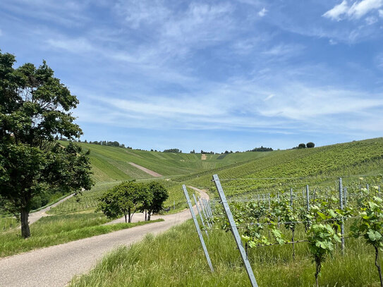 "Ruhig und sonnig wohnen, mit Blick auf die Weinberge!" Attraktive DHH in Weinstadt