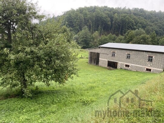 Großes Wohnbaugrundstück in Weigendorf - 1.200 m² für Ihr Traumhaus inkl. Scheune