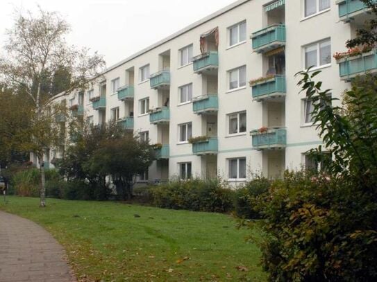 schöne 3 Zimmer Wohnung in Hamburg Fischbek