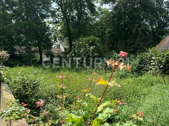 Bungalow-Oase in Düren: Entdecken Sie Ihr Stück vom Glück!