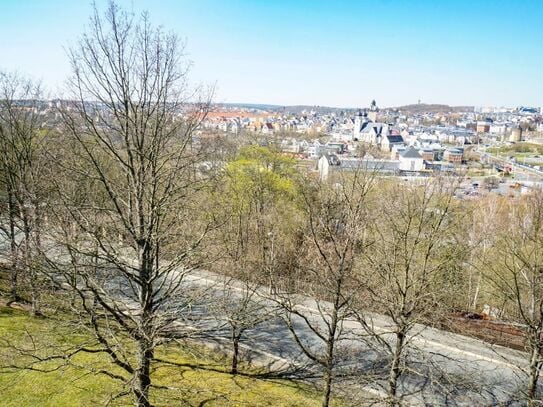 Wohnung in Plauen