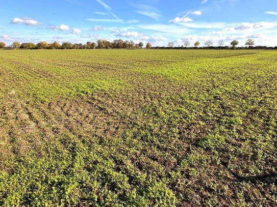 4,6 ha arrondierte Ackerfläche in Nörvenich