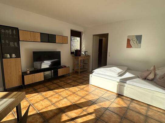 TERRASSENWOHNUNG MIT AUFZUG - möbl. 1-Zi-Whg in S.-Botnang, Stellplatz, WLAN -1459