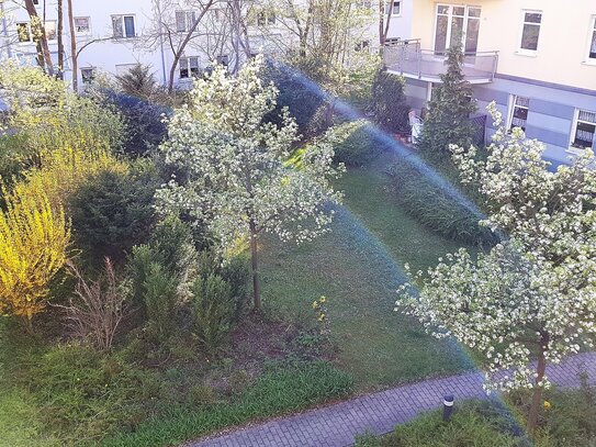 Eine Wohnung für Sonnenanbeter - ein kleiner Traum in Strehlen!