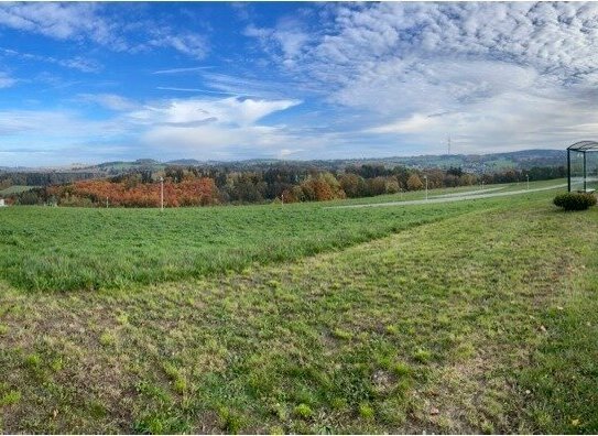 Blick über Feld & Wald!